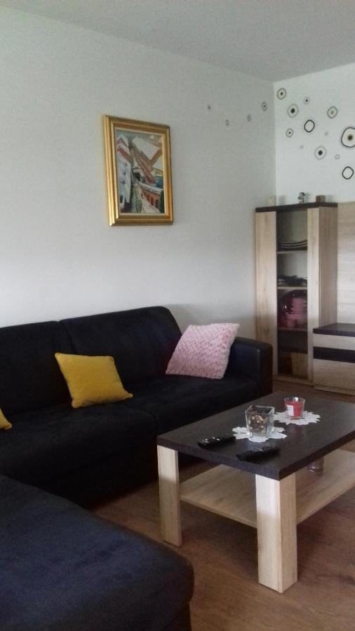 شقة زغرب  في Apartman Lana ,Froudeova Ulica 3 Nasuprot Zg Velesajma المظهر الخارجي الصورة
