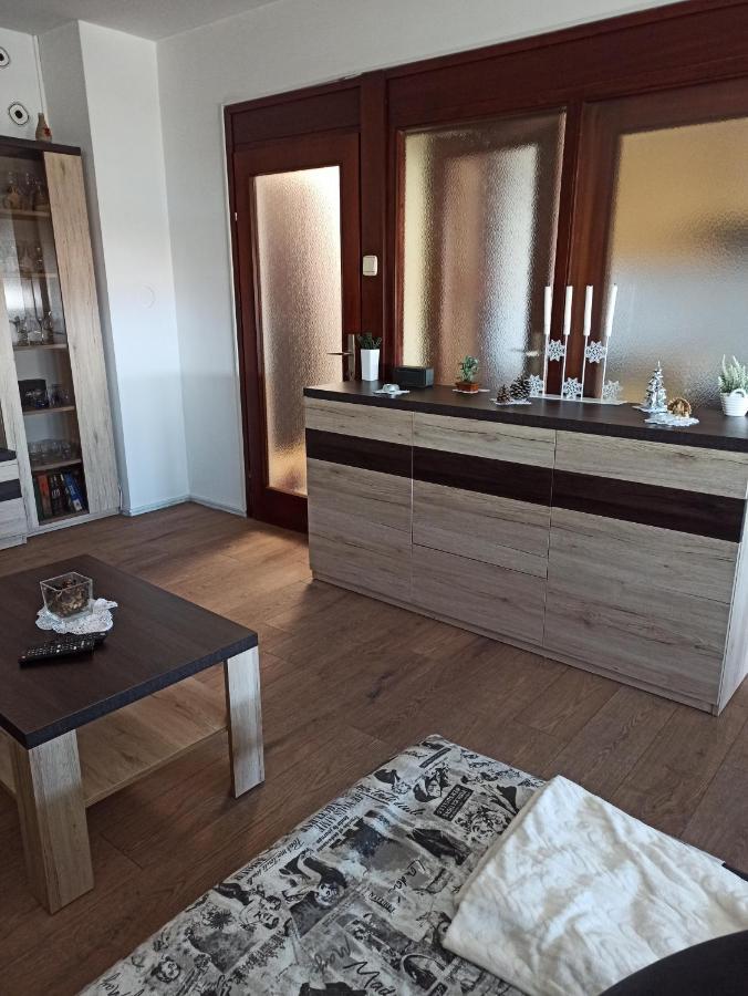 شقة زغرب  في Apartman Lana ,Froudeova Ulica 3 Nasuprot Zg Velesajma المظهر الخارجي الصورة